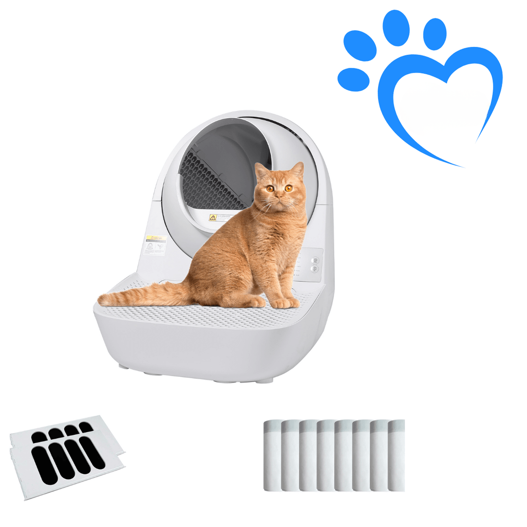 Young Self-Cleaning Litter Box