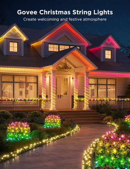 Govee Smart Christmas Lights