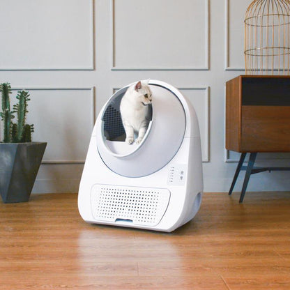 Young Self-Cleaning Litter Box