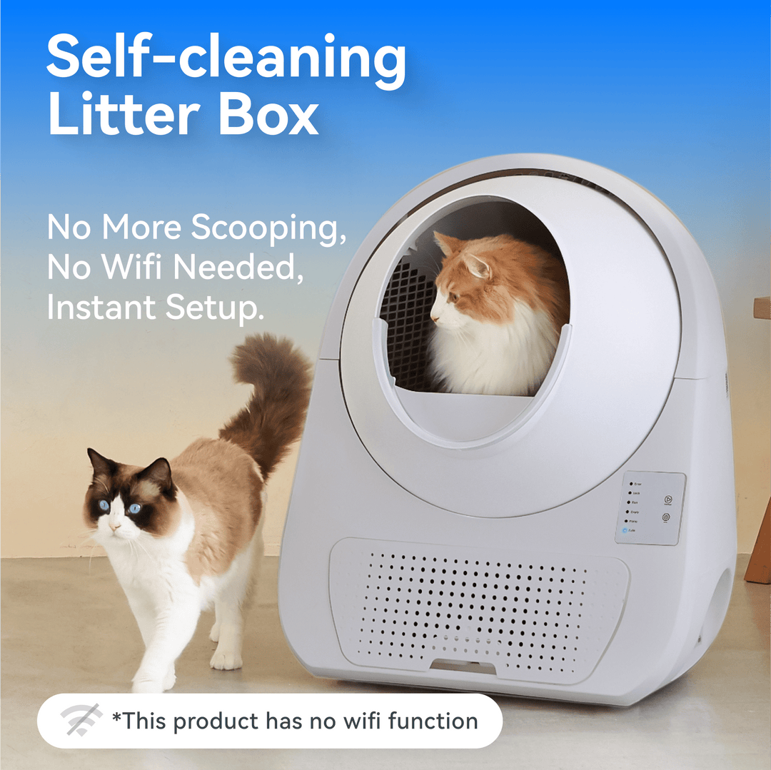 Young Self-Cleaning Litter Box