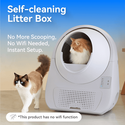 Young Self-Cleaning Litter Box