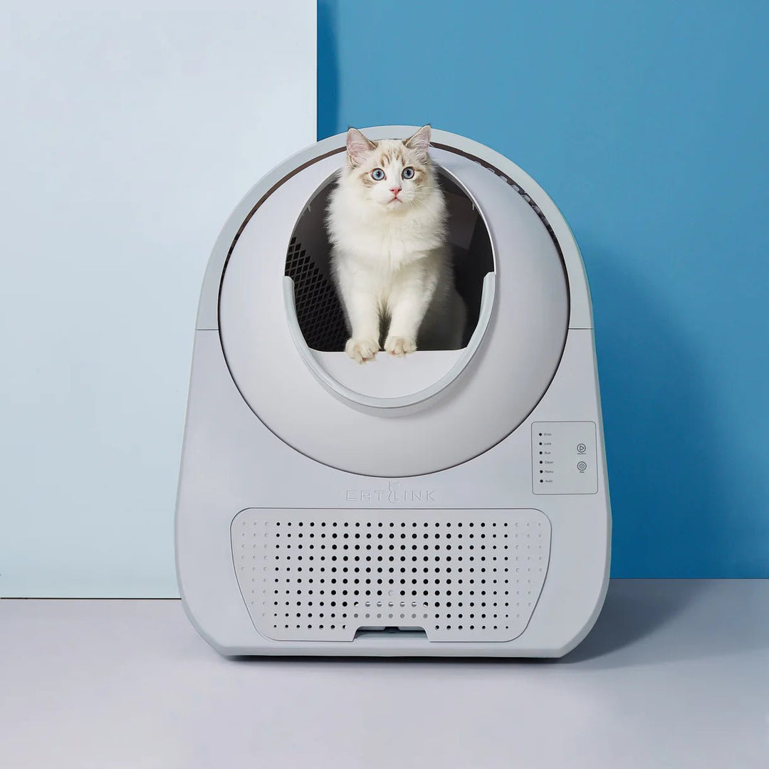 Young Self-Cleaning Litter Box