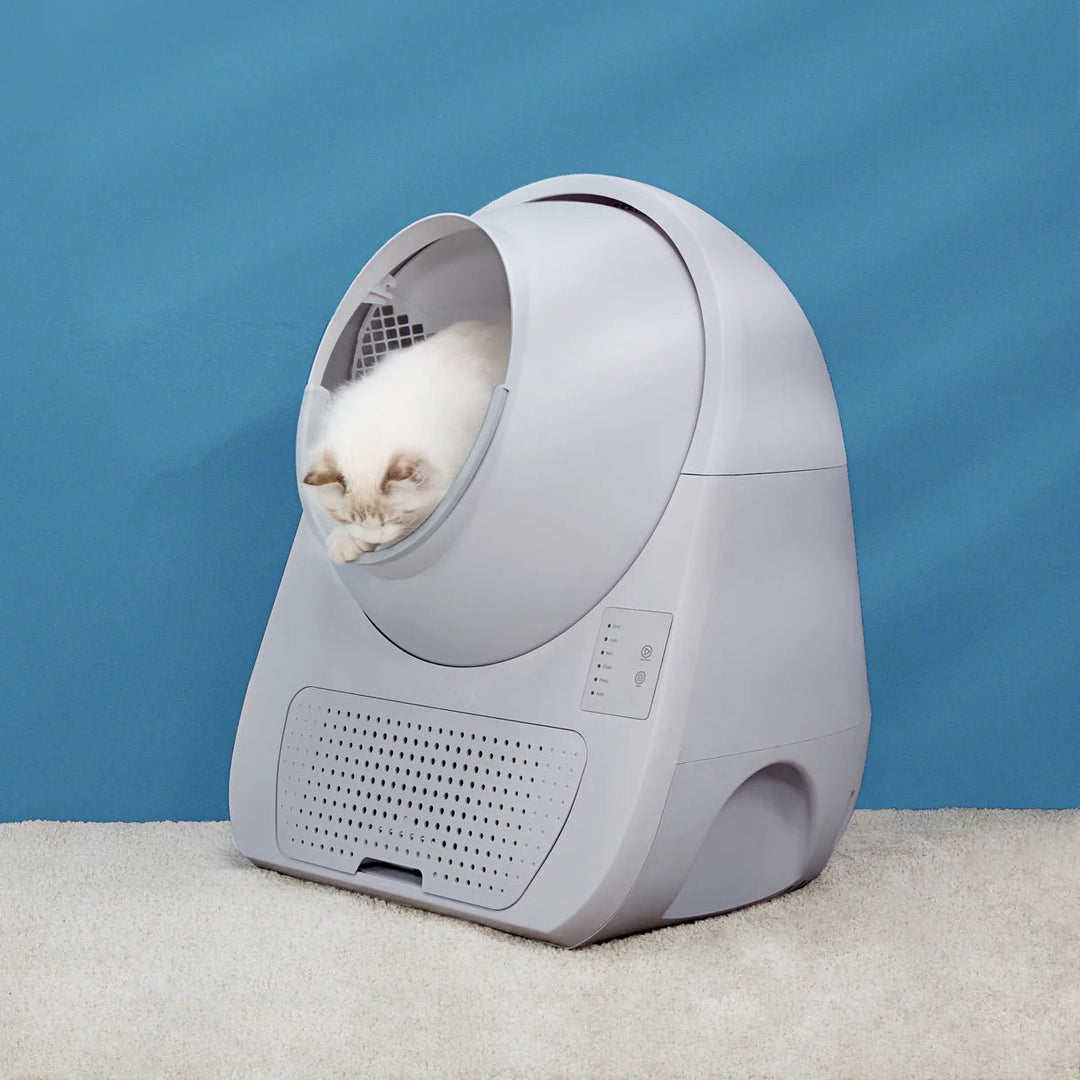 Young Self-Cleaning Litter Box