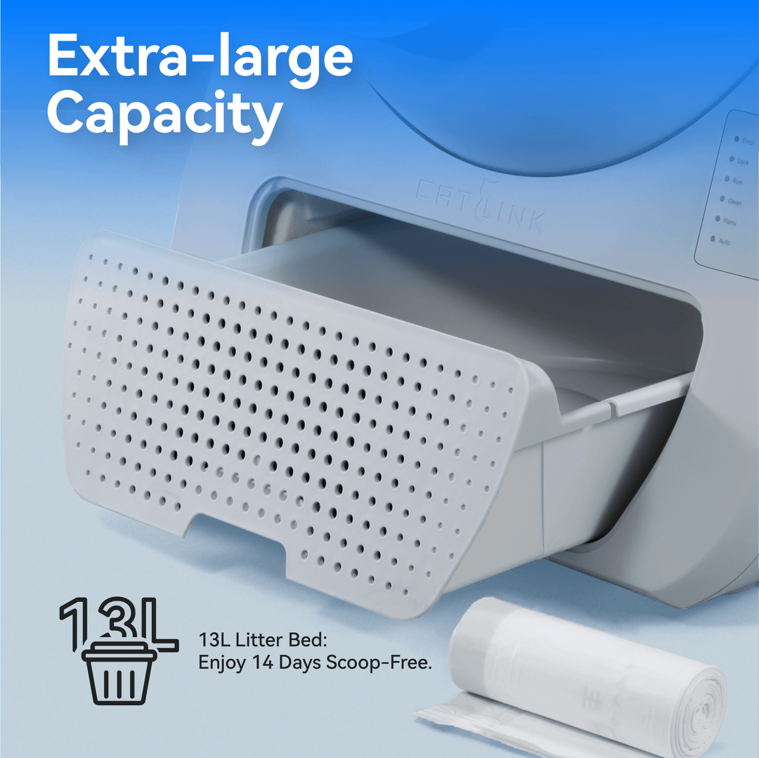 Young Self-Cleaning Litter Box